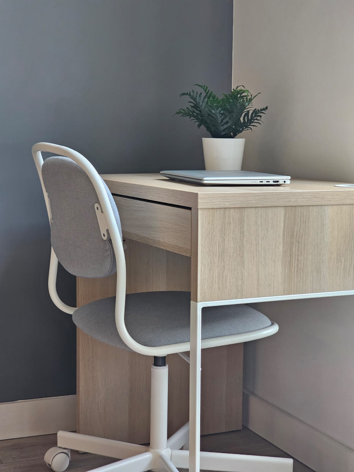 PHOTO-2026-02-26-17-21-23 4